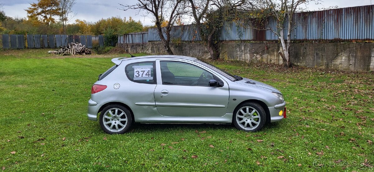 Peugeot 206 RC - 4