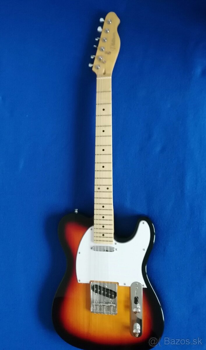 Predam el. gitaru + puzdro + pas. - 4