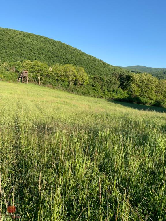 Predaj pozemok v prírode Jedľové Kostoľany - 4