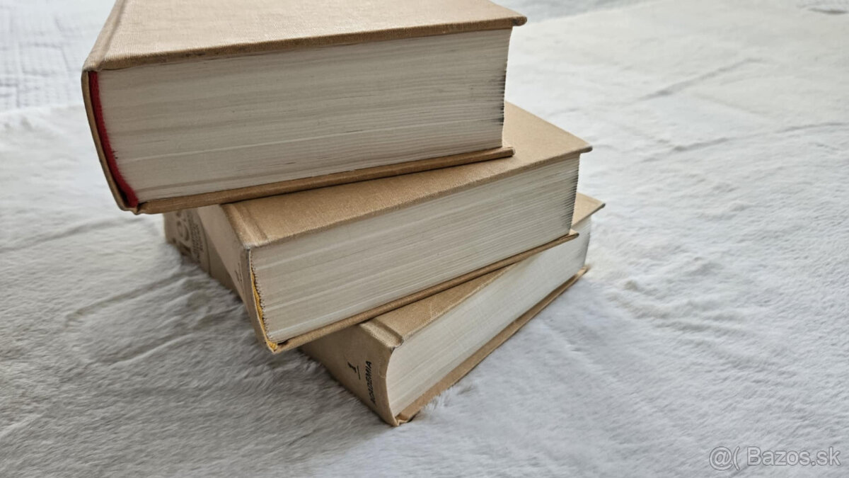 Ilustrovaný encyklopedický slovník 1-3 - 4