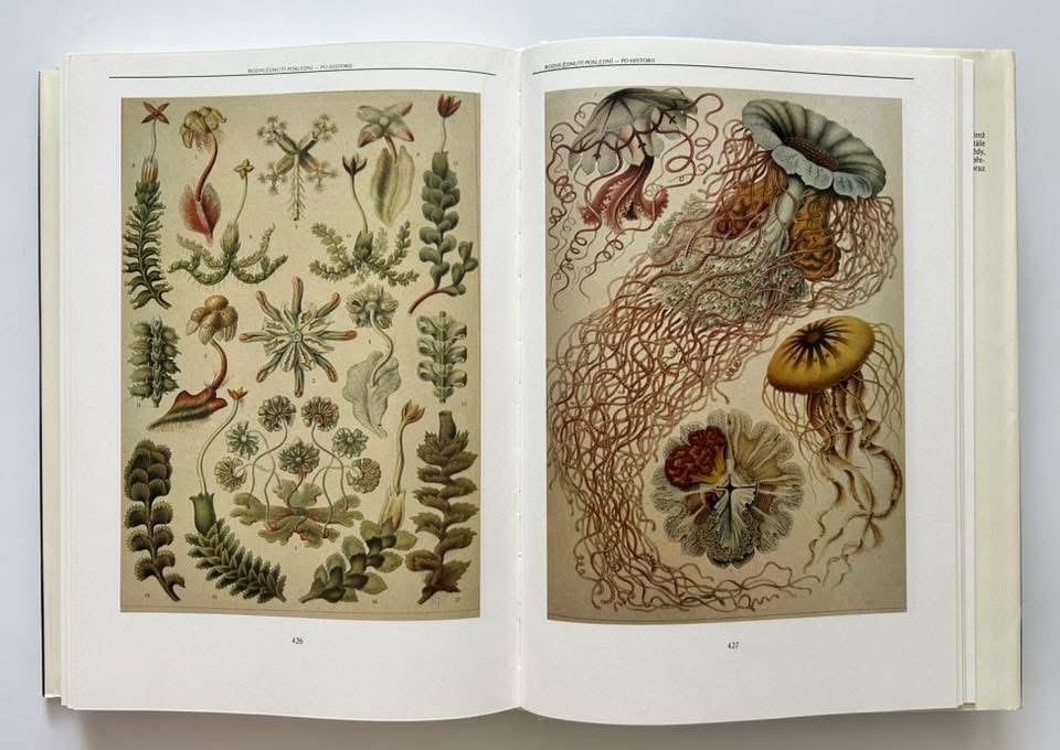 Nádherná séria encyklopédií - 4