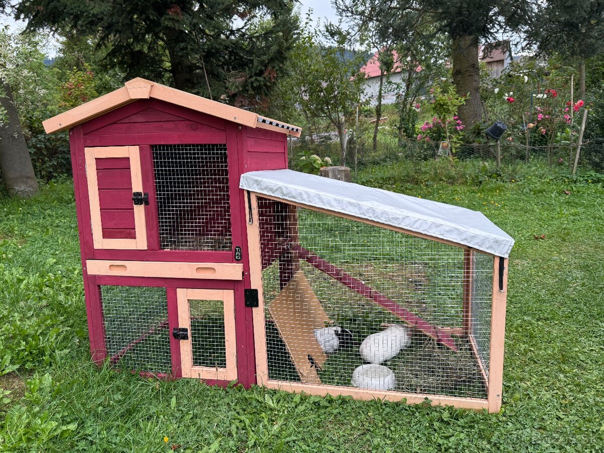 Dve morské prasiatka + príslušenstvo - 4