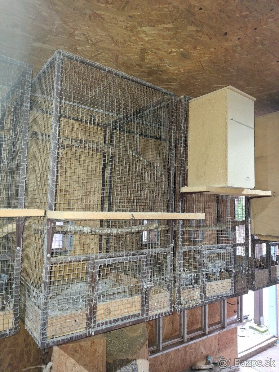 Voliery / klietky 6ks - 4