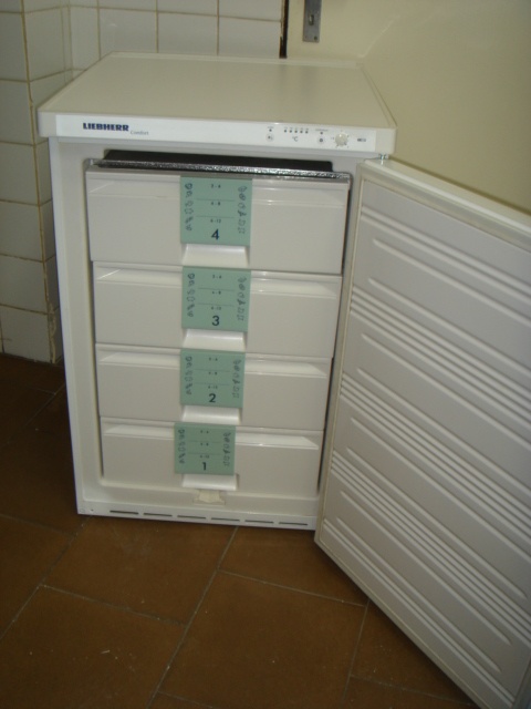 mraznička - 4