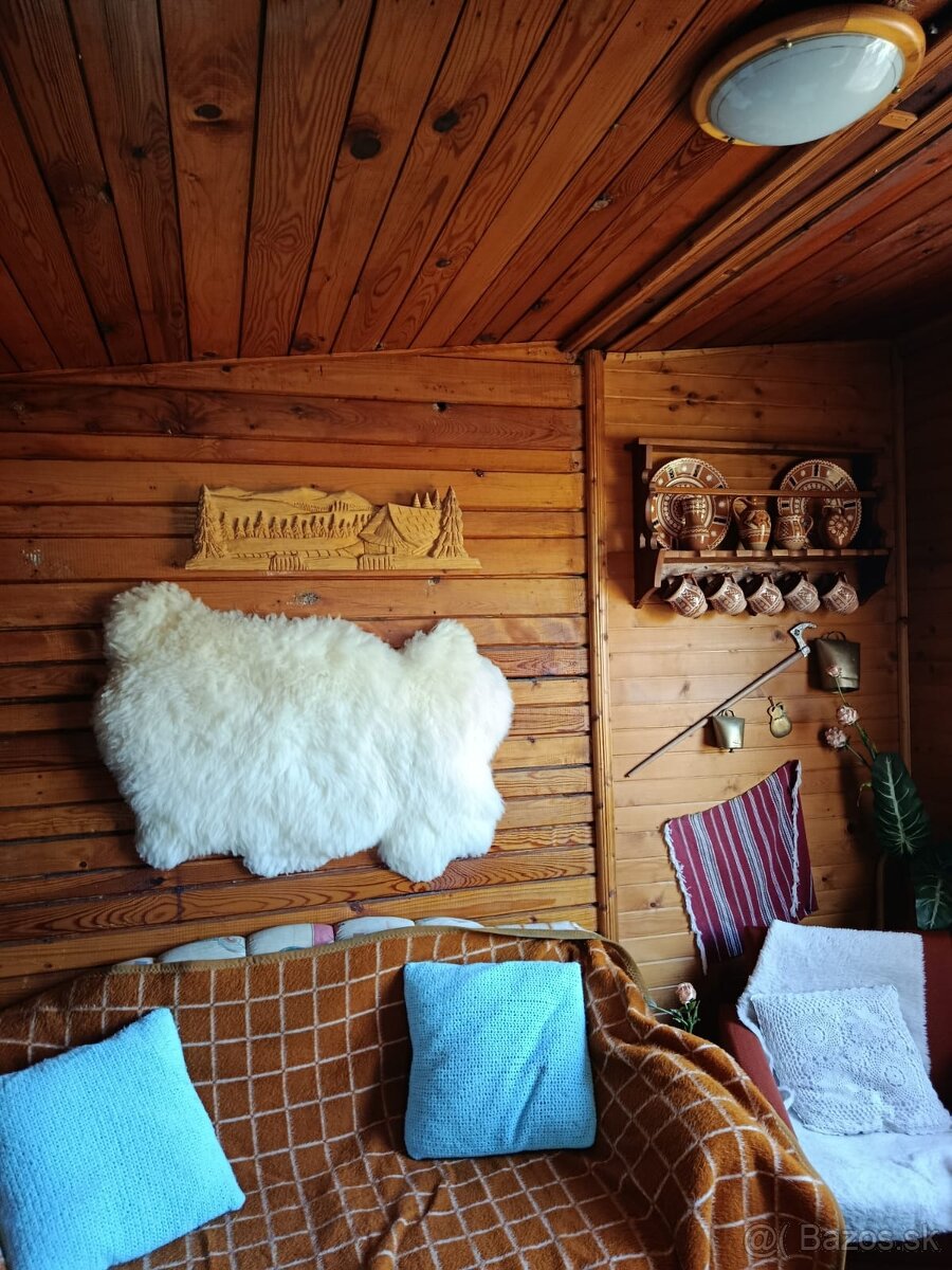 Záhrada s chatkou - 4