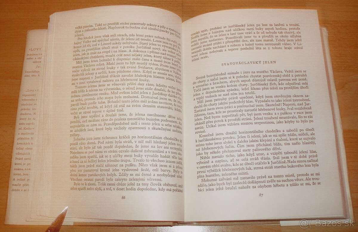 Lovy v Karpatech - 4