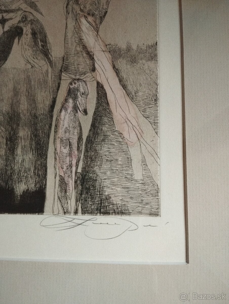 Grafika Katarína Vavrova - 4