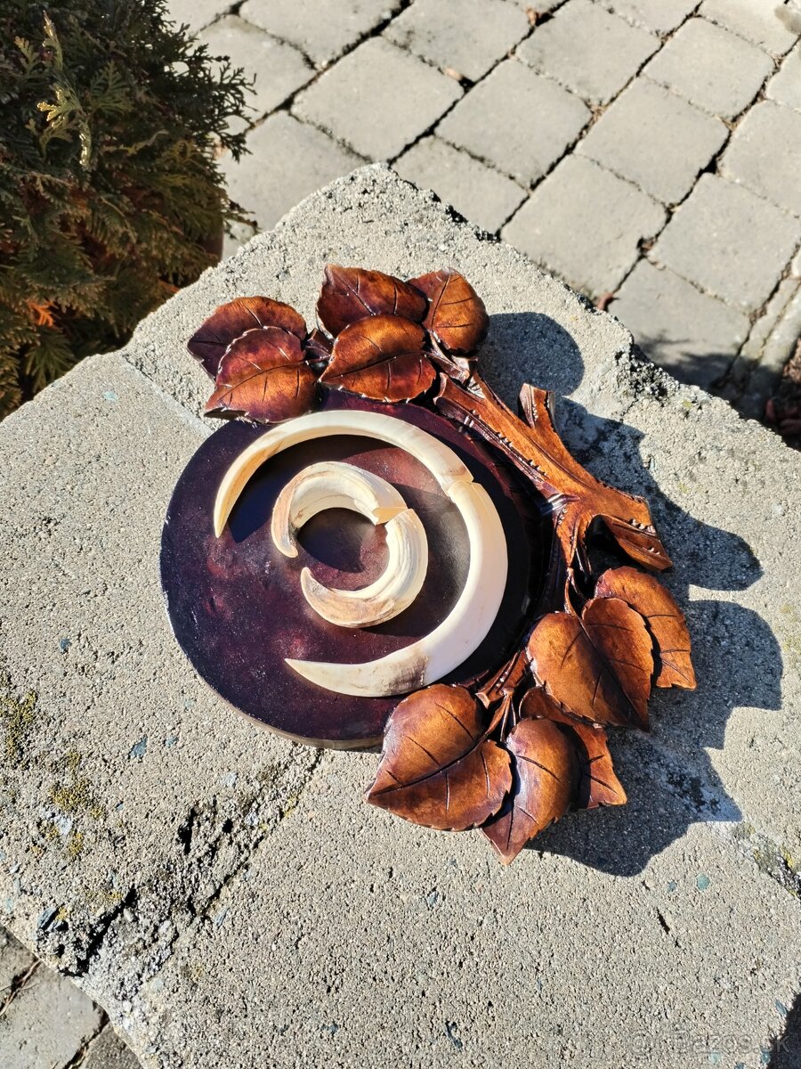 Trofej kly na podložke - 4