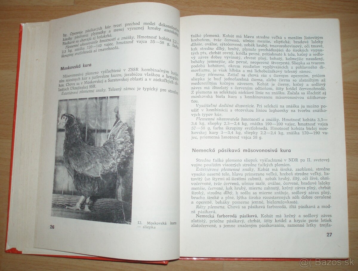 Najvýkonnejšie plemená a typy hydiny - 4