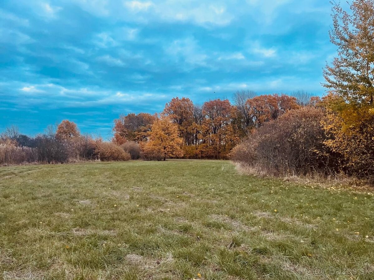 Pozemok - Lúka, Malé Leváre, 26 385 m² - 4