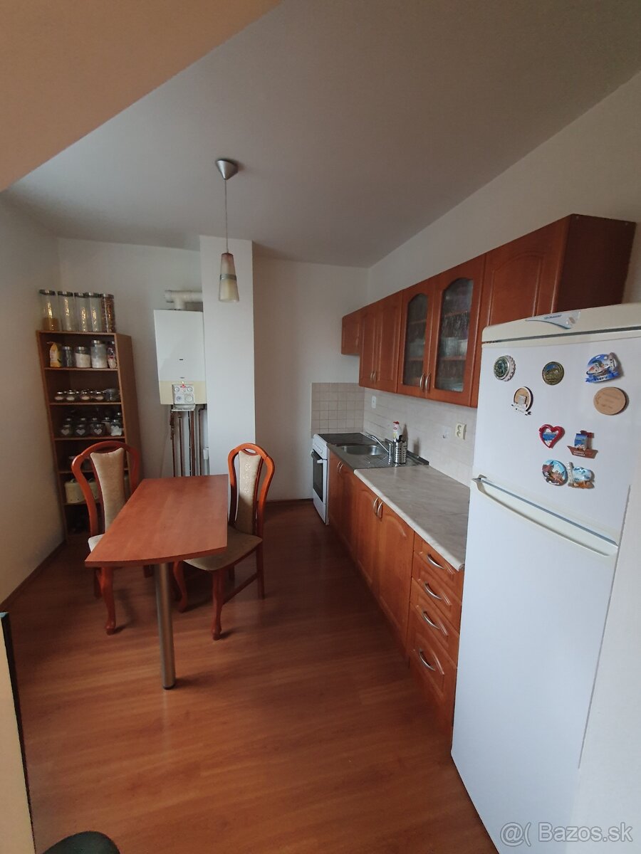 1 izbovy byt - 4
