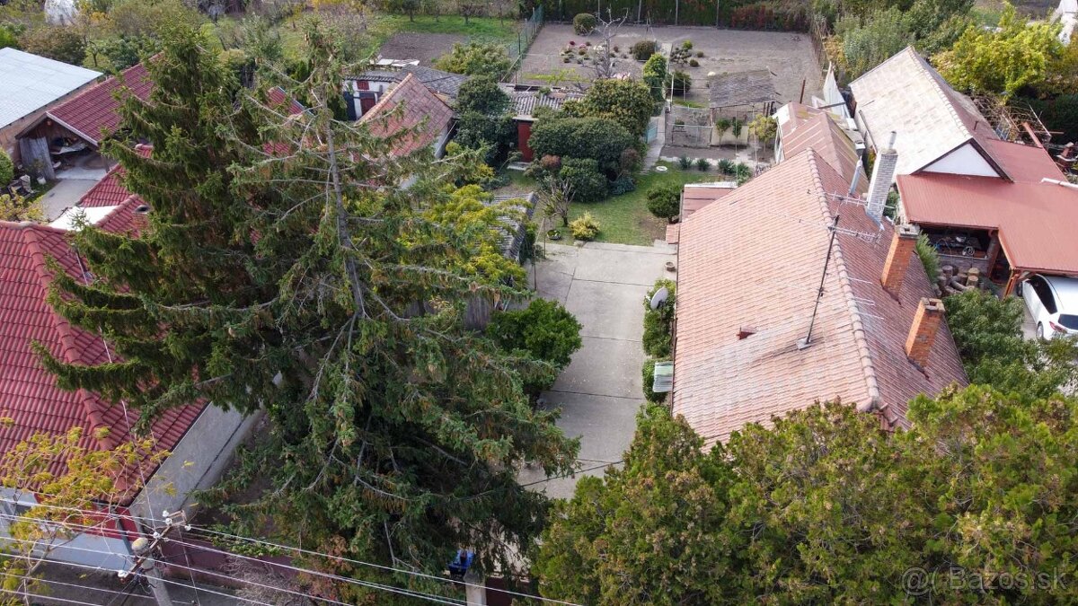 4-izbový rodinný dom v pôvodnom stave - Dolné Saliby - 4