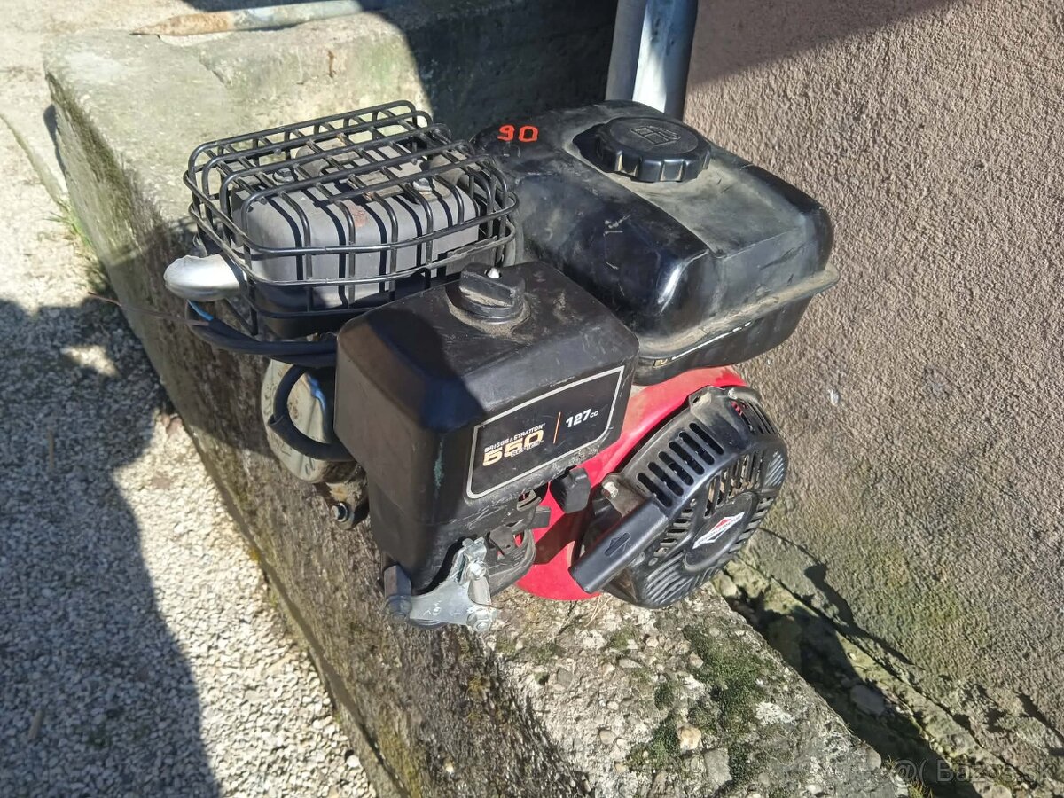Briggs Stratton - 4