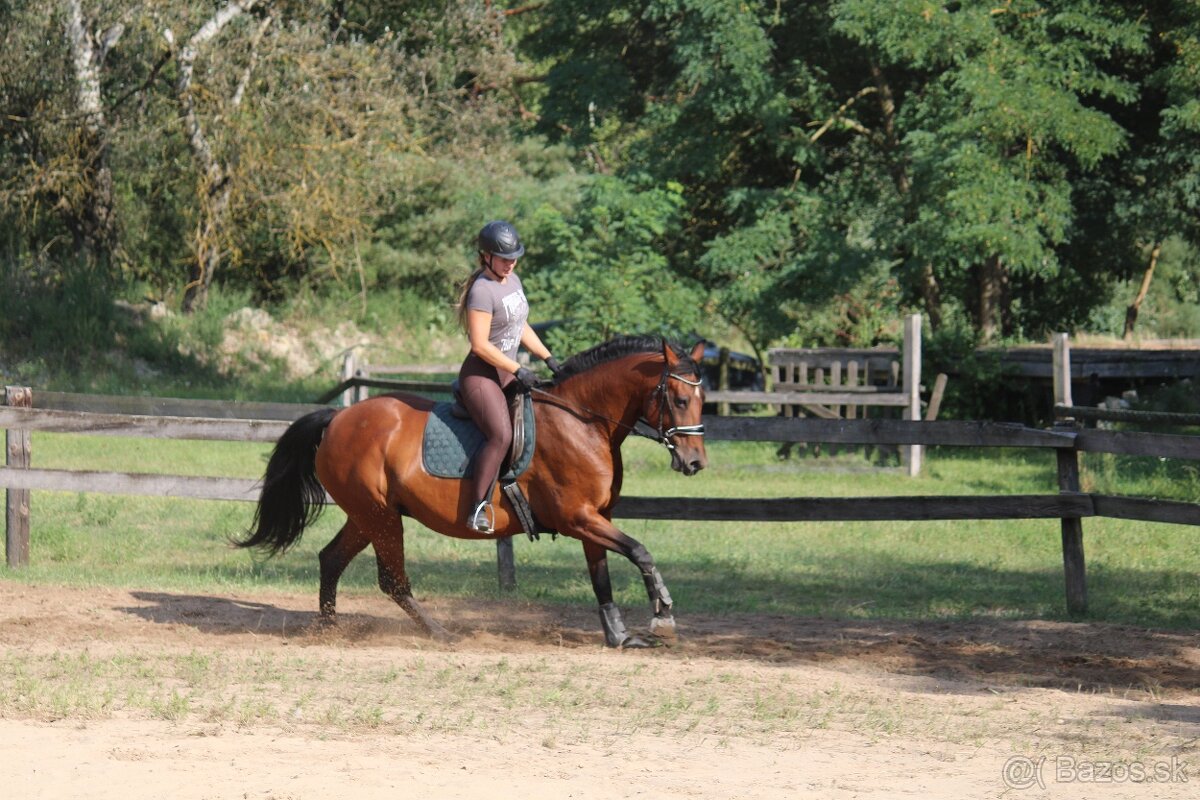 Všestranná kobyla - 4