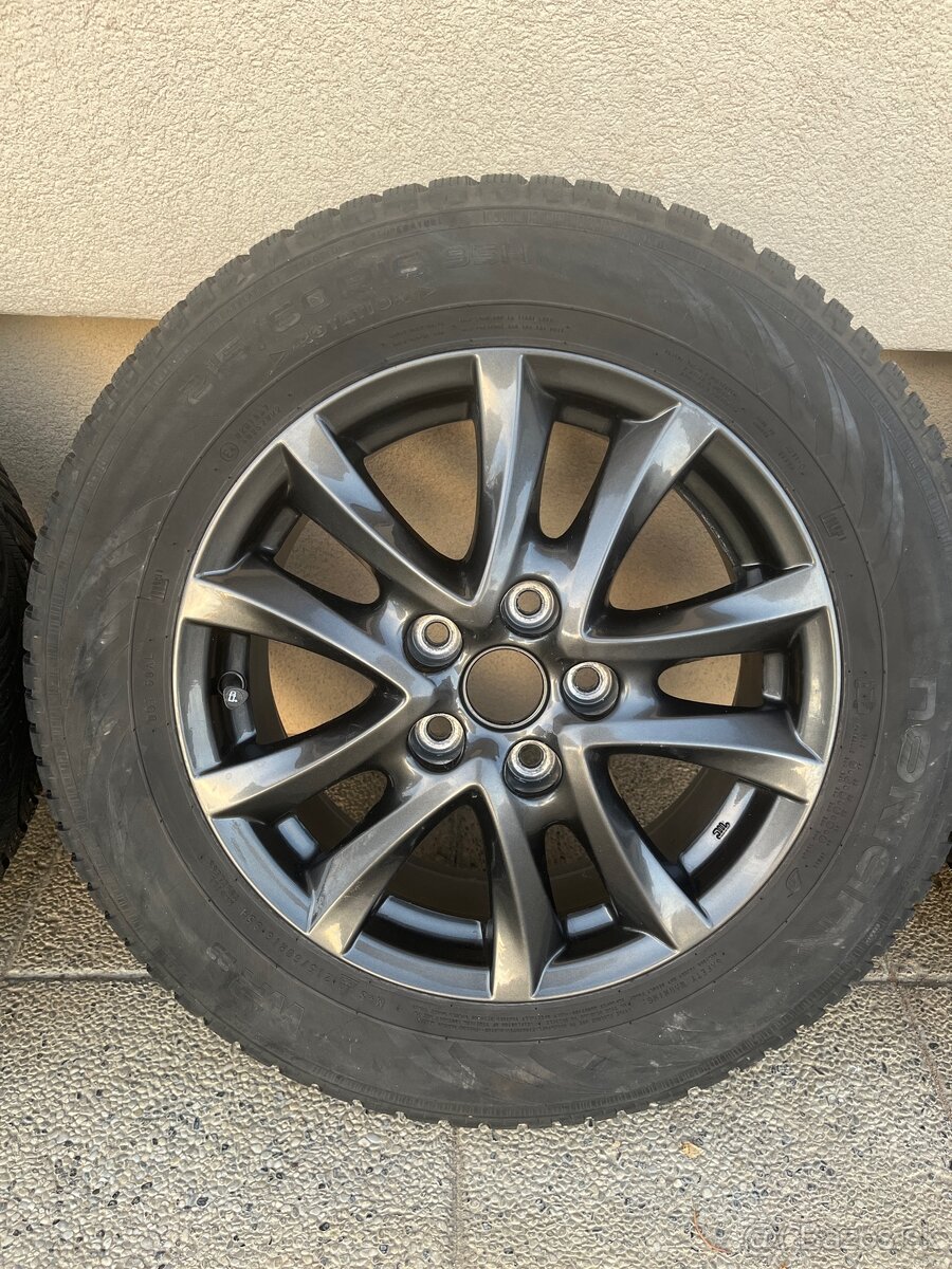 Zimna sada MAZDA R16 - 4