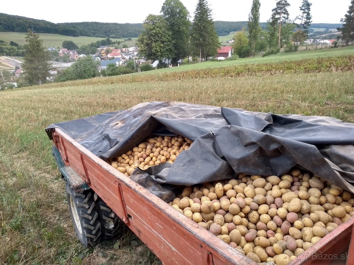 Reform muli 140 + tp - 4