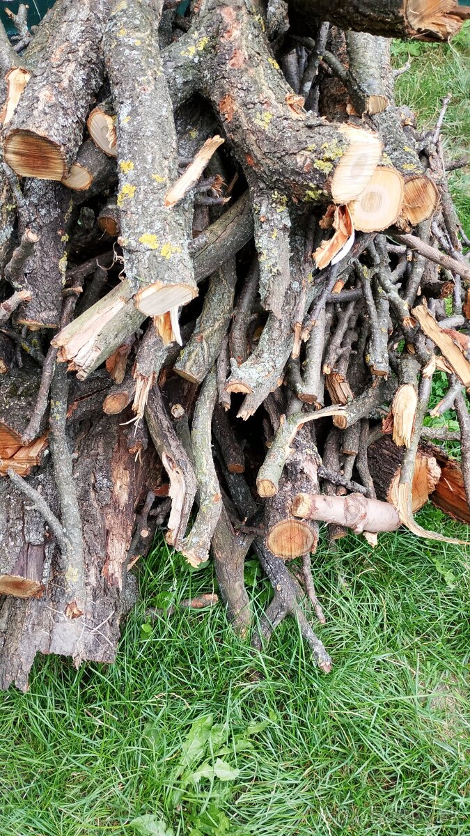 drevo na kúrenie - 4