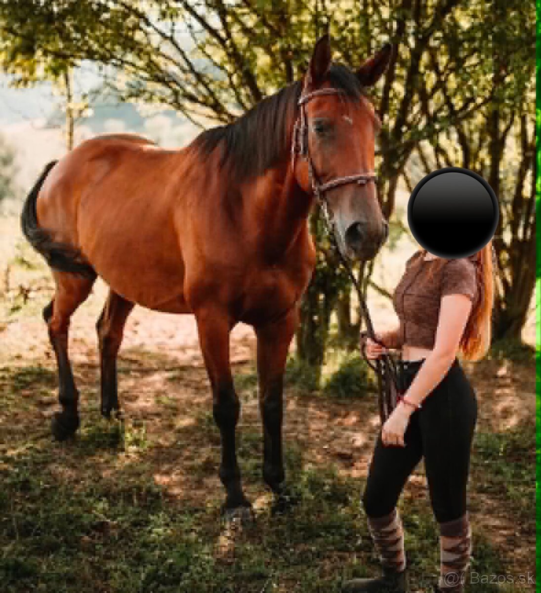 12 ročný valach - 4