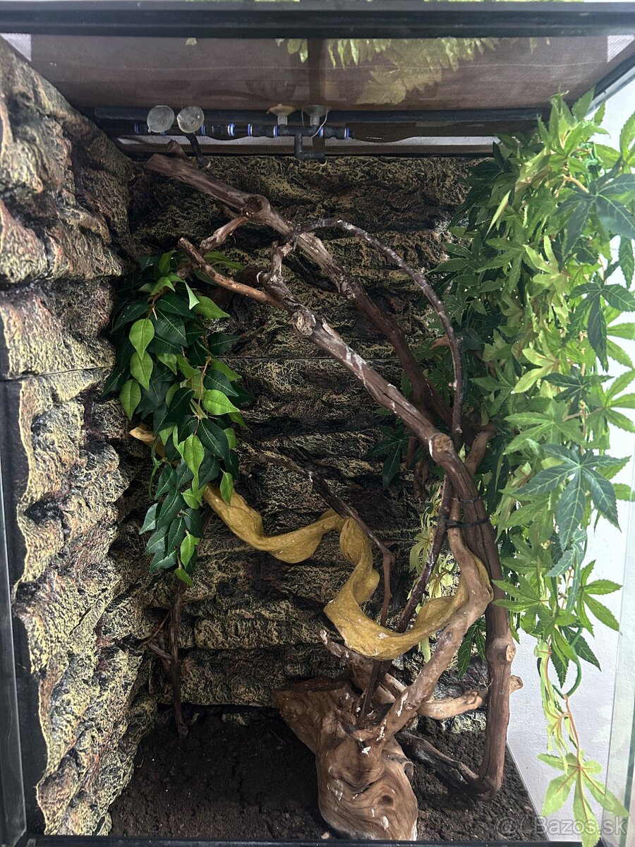 Terárium, skrinka, príslušenstvo - 4