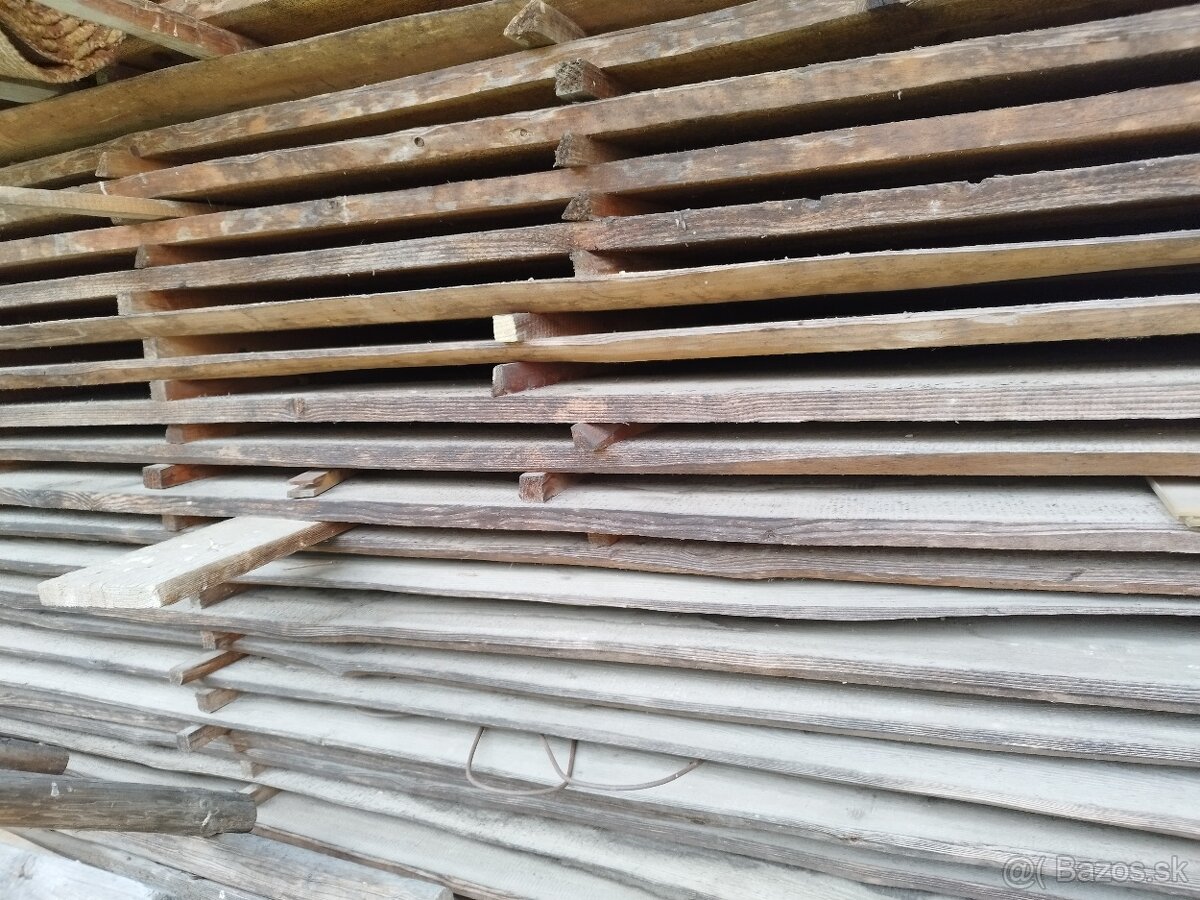 Červení smrek - 4