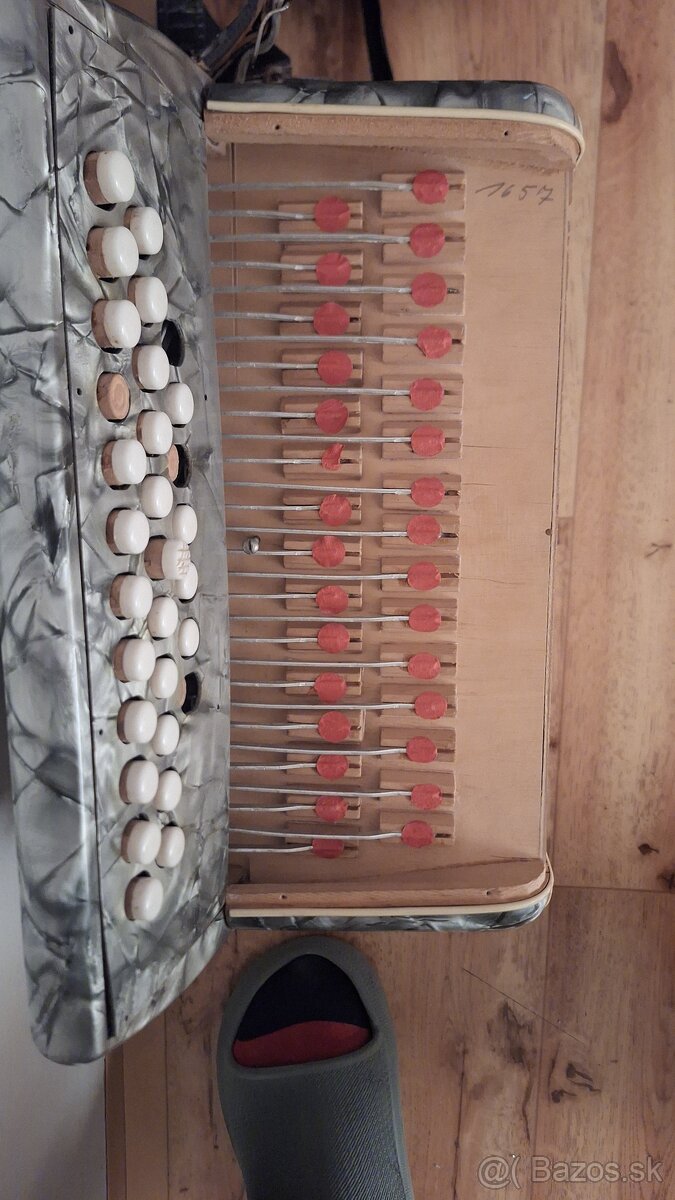 Hohner Club 2 Victoria - 4