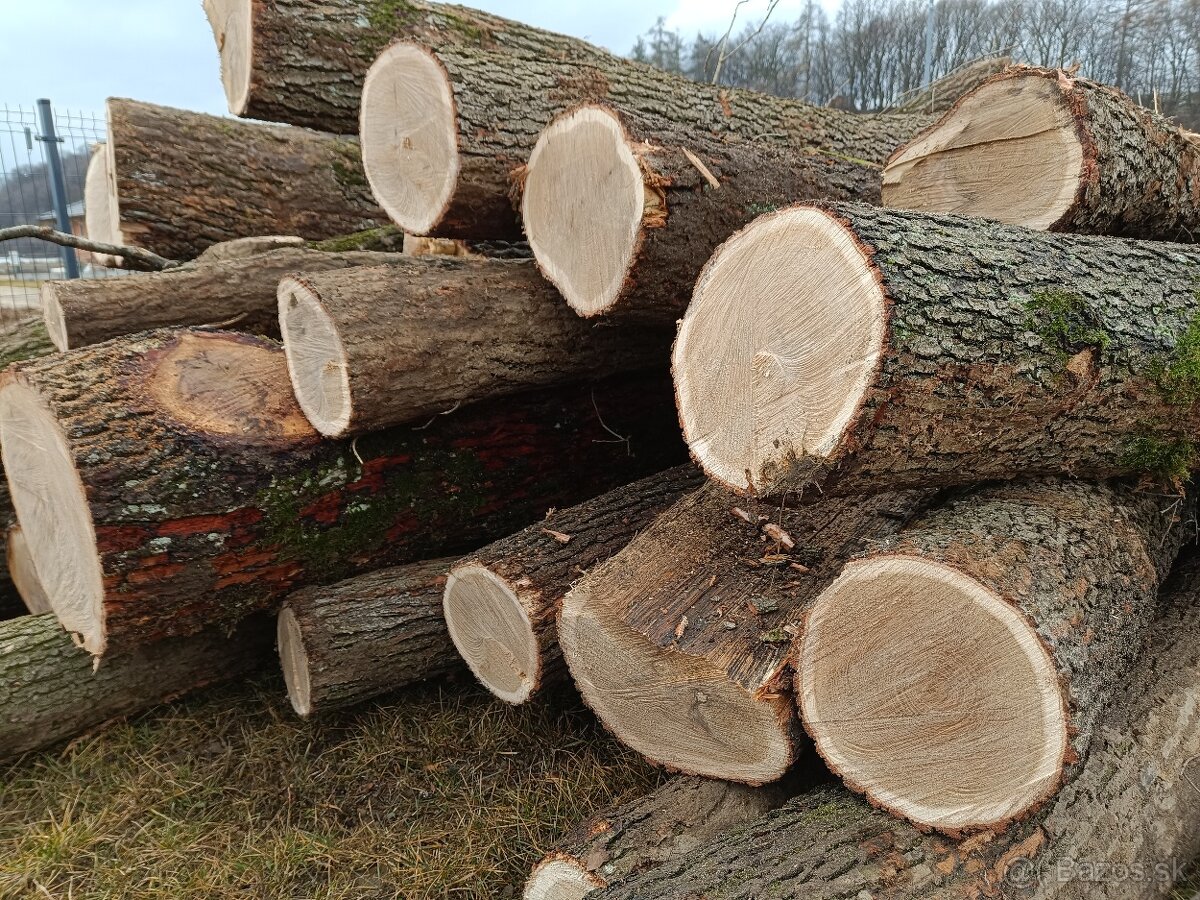 Tvrdé palivové drevo - 4