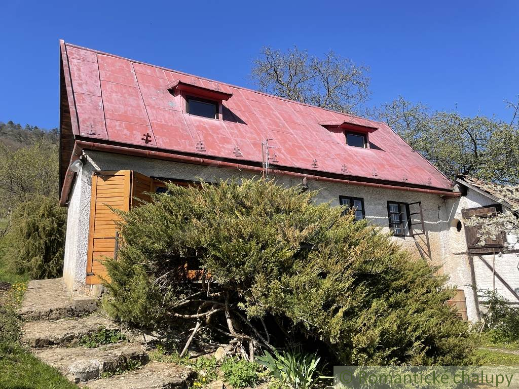 Rozsiahla vinica s historickou chatou v Slovenskom krase - 4