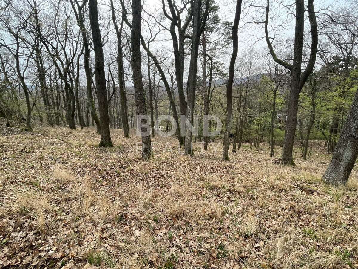 Pozemok na celoročne obývateľnú chatu, Modra Harmónia - 4