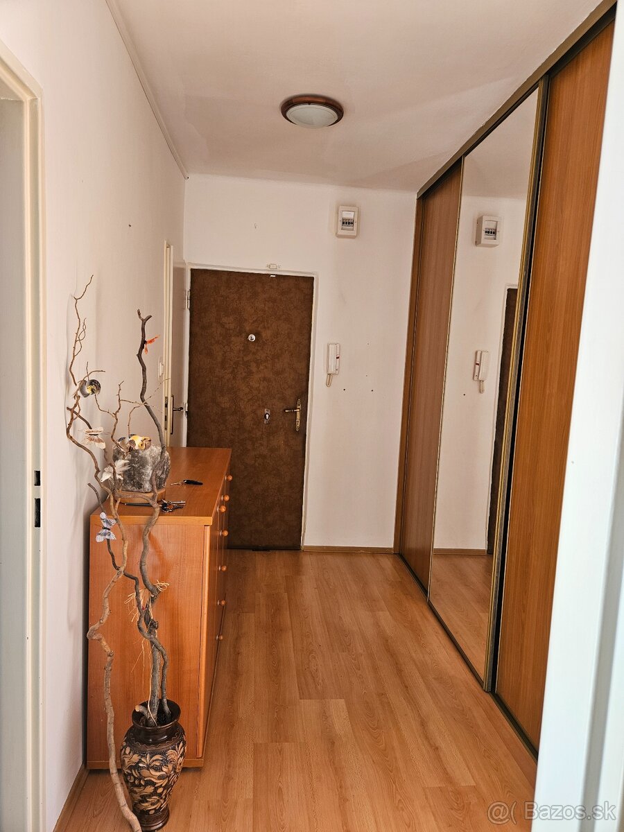 Dvojizbový byt Štúrovo - 4