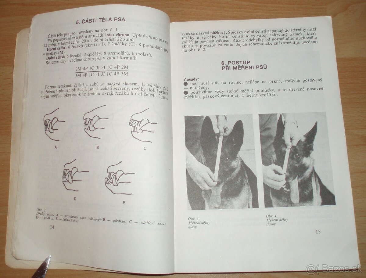 Pes a jeho výcvik - 4