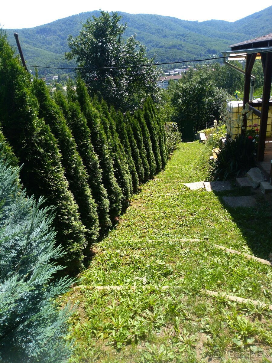 Udržiavaná záhrada s chatkou - 4