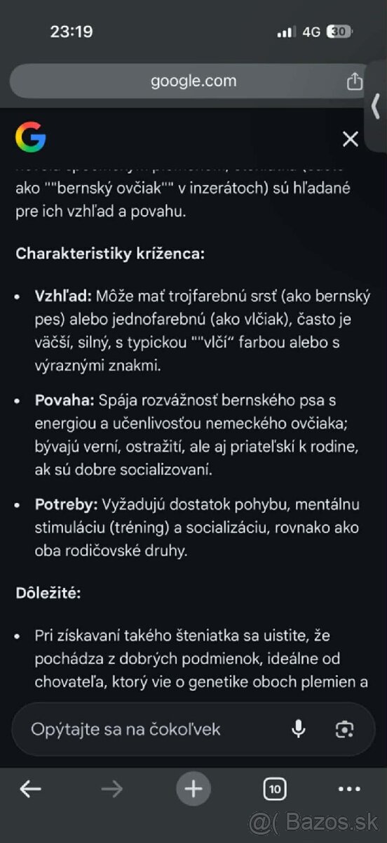 Bernský ovčiak - 4