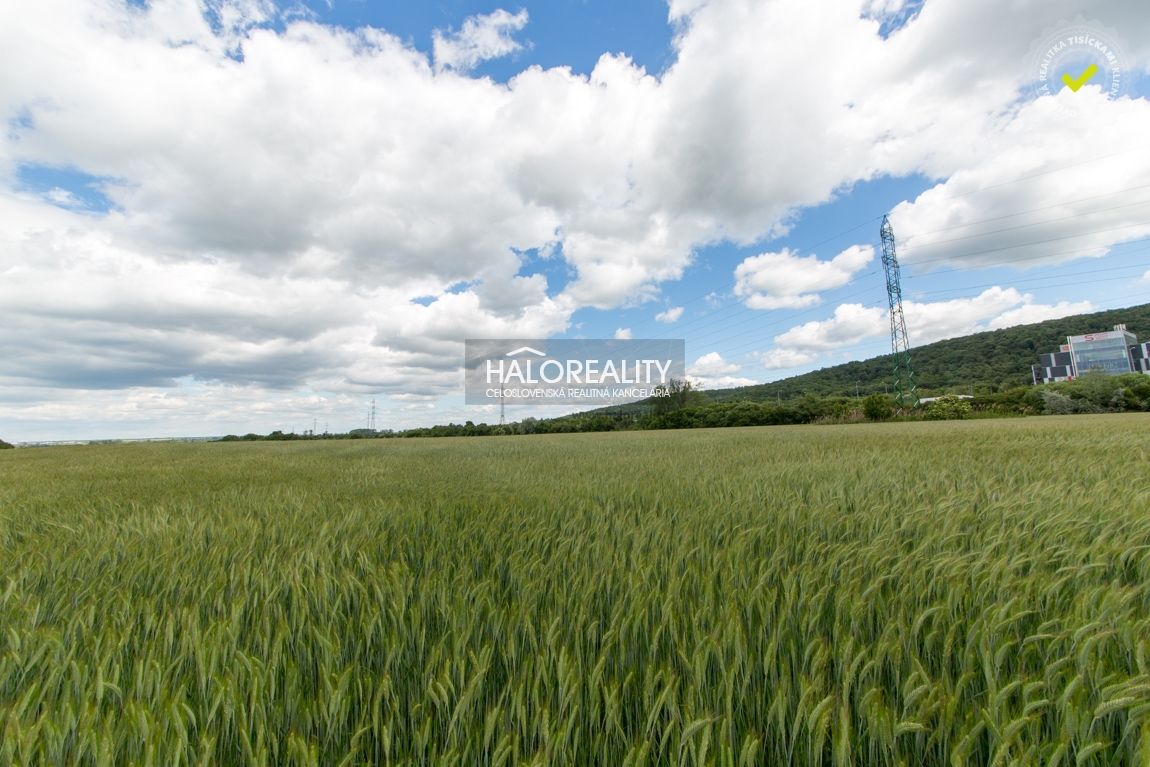 HALO reality - Predaj, záhradný pozemok 5755 m2 Bratislava - 4