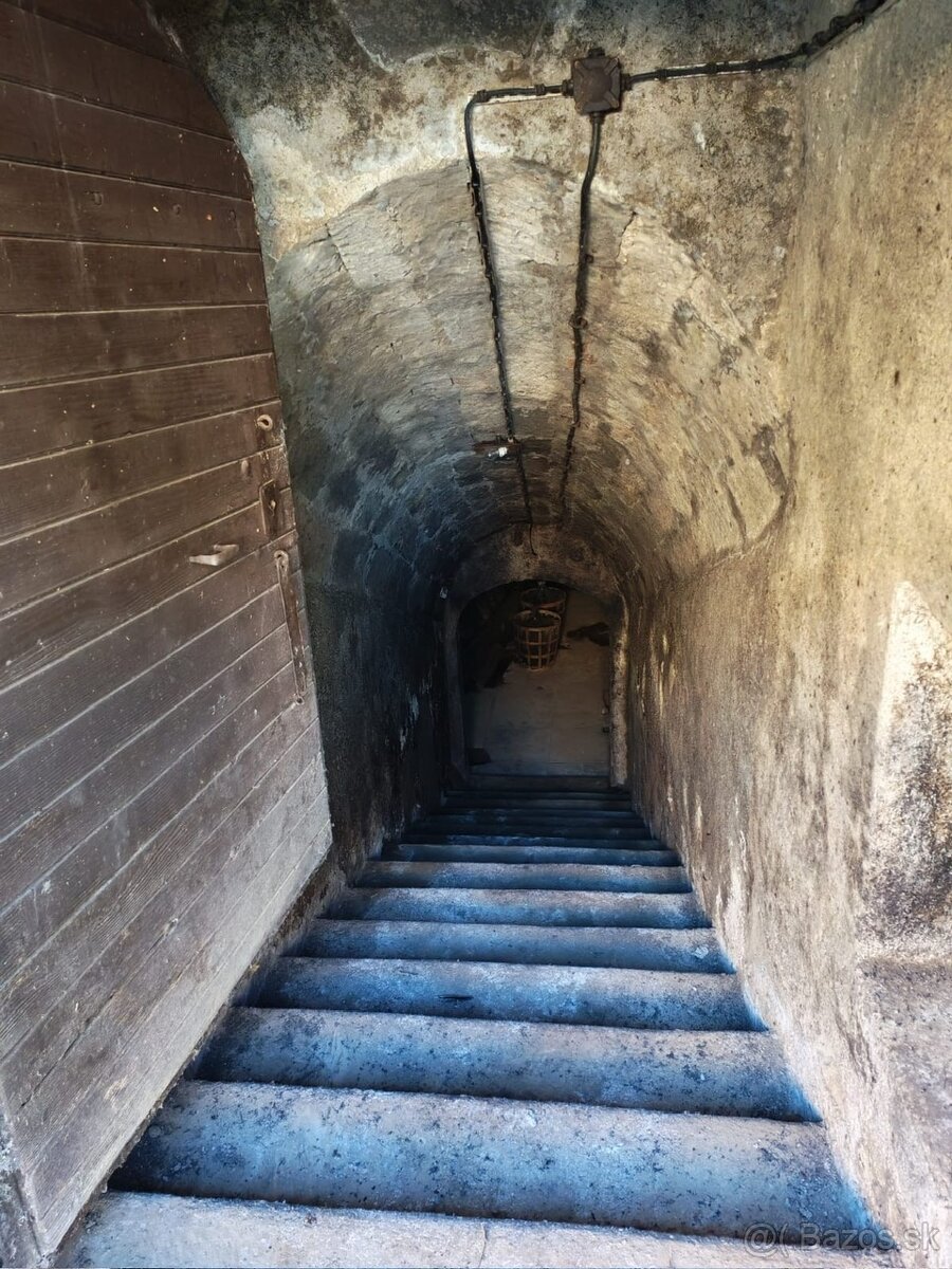 Ponúkam na predaj viničný dom s pivnicou v tichom prostredí - 4