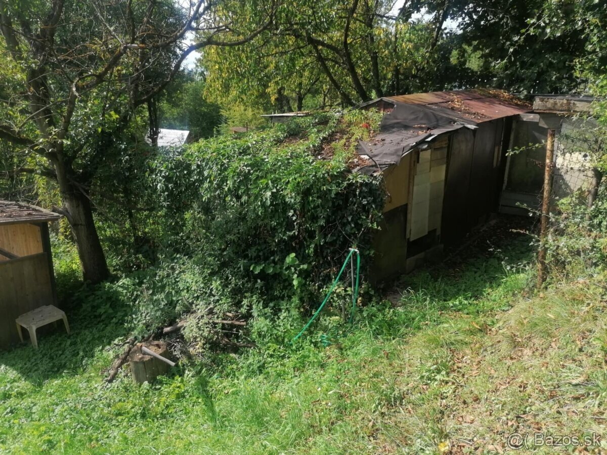 Záhrada s LV v Jelšovom-PB - 4