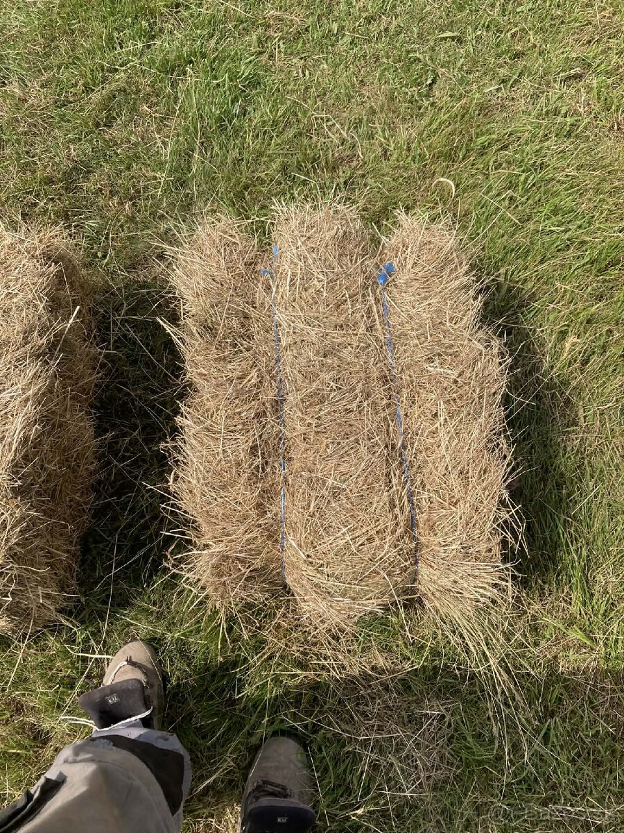 Predám balíky sena - 4