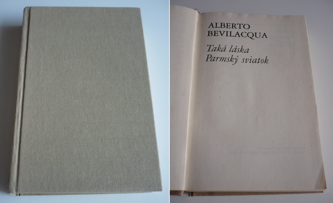 staršie knihy,slovník - 4