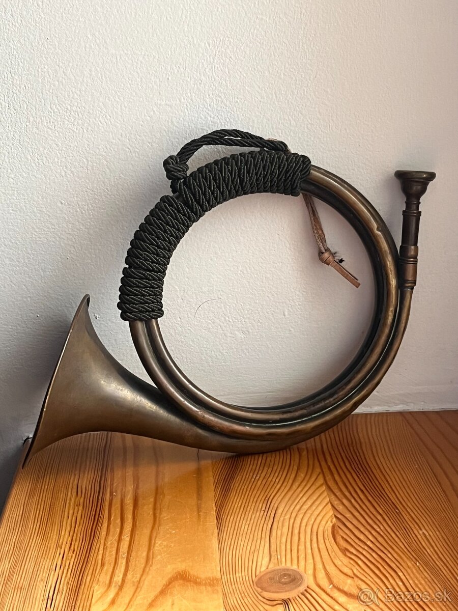 Lesnica - 4