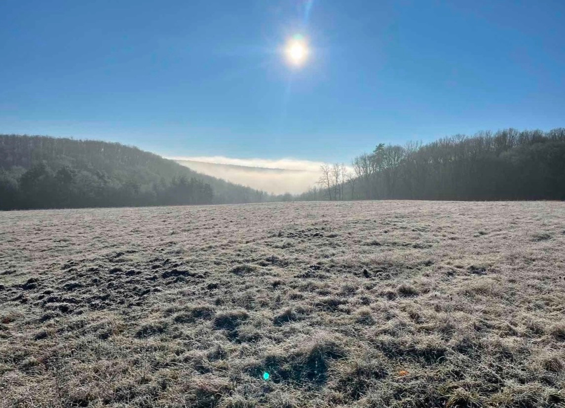 Predám pozemky na samote - 4