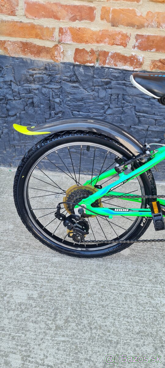 Bicykel Ctm 20" green - 4