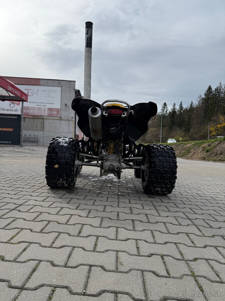 Can am ds 450
