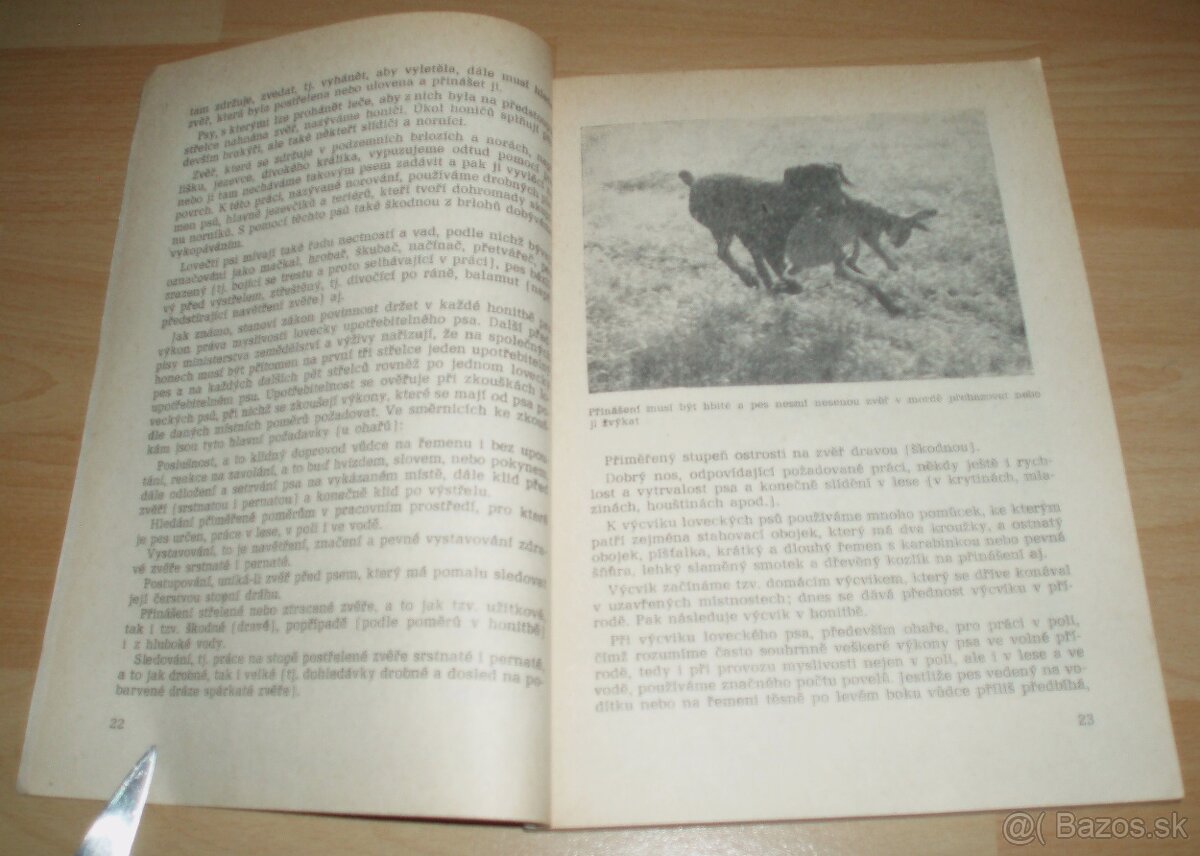 Práce psa při lovu - 4