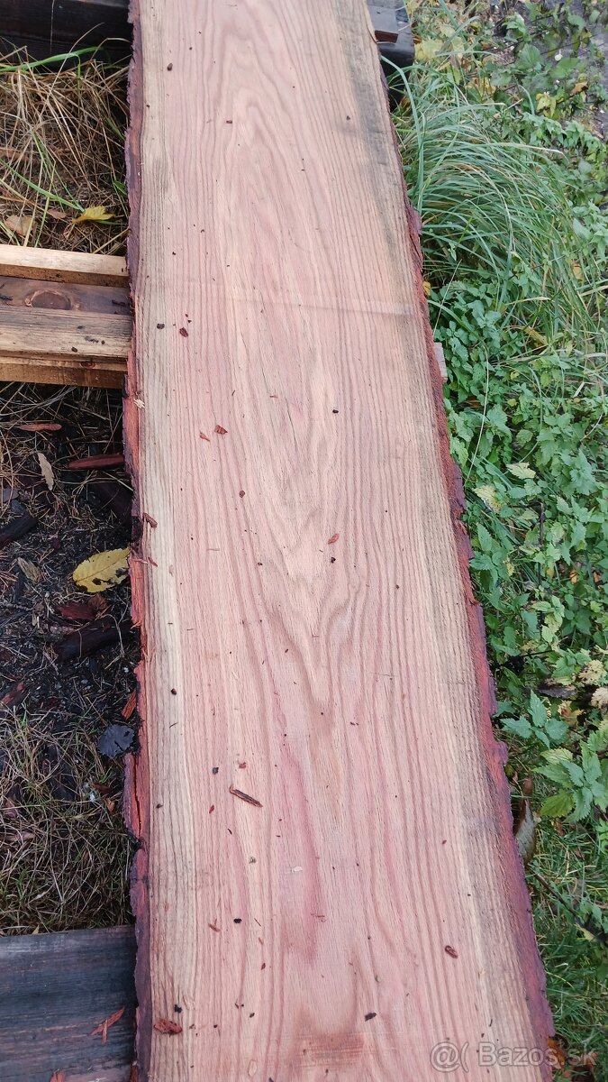 Dubove drevo forsne - 4