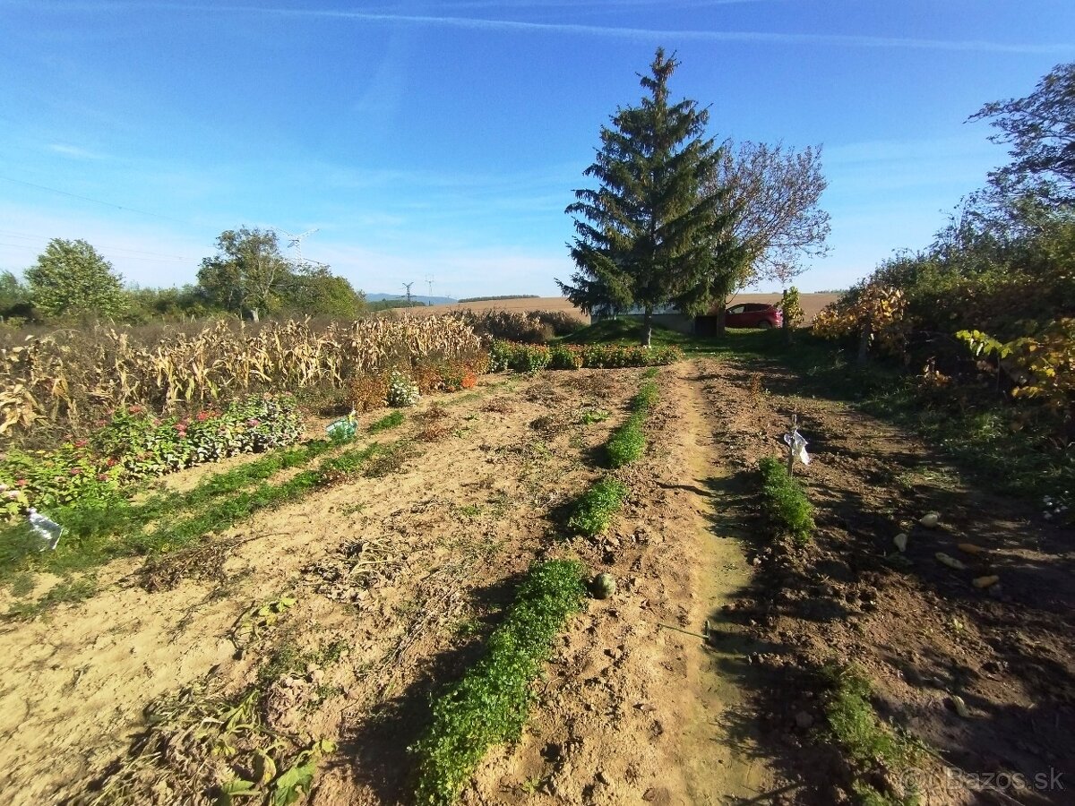 Viničný dom, rekreačná lokalita Levice-dohoda na cene - 4