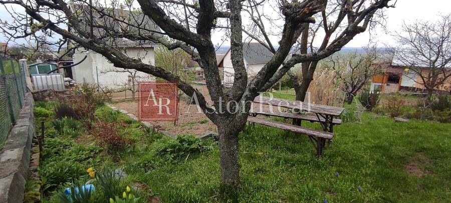 Predaj: Záhradka s pivnicou v Skalici - LIŠTINY - NOVÁ CENA - 4