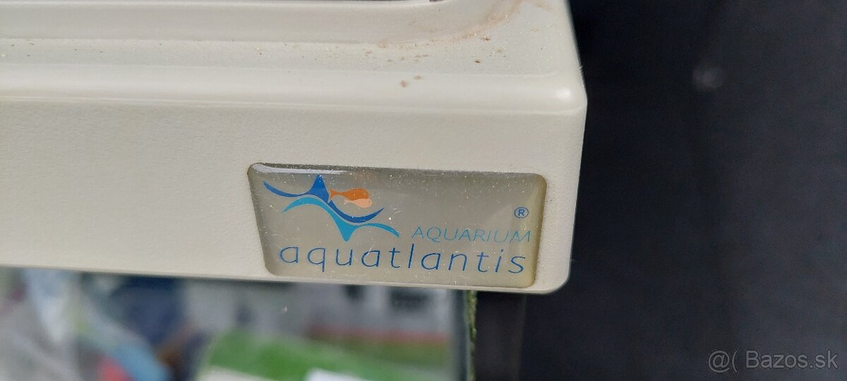 Aquatlantis - 4