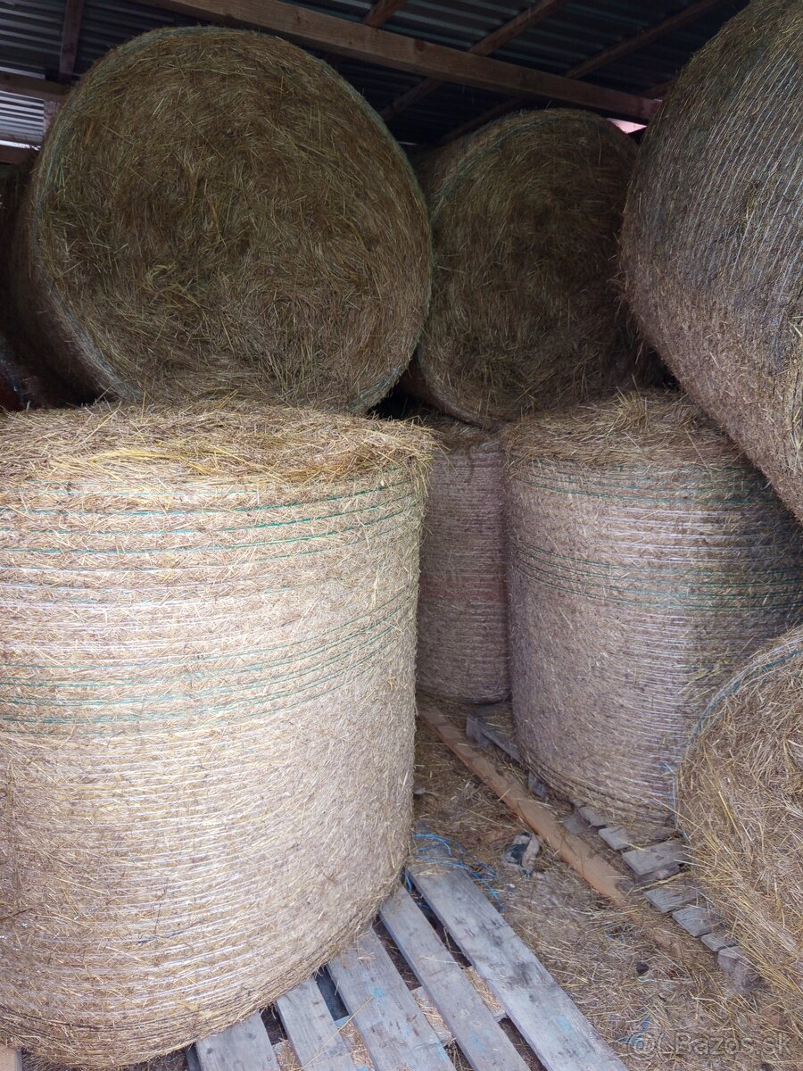 Predám balíky sena - 4