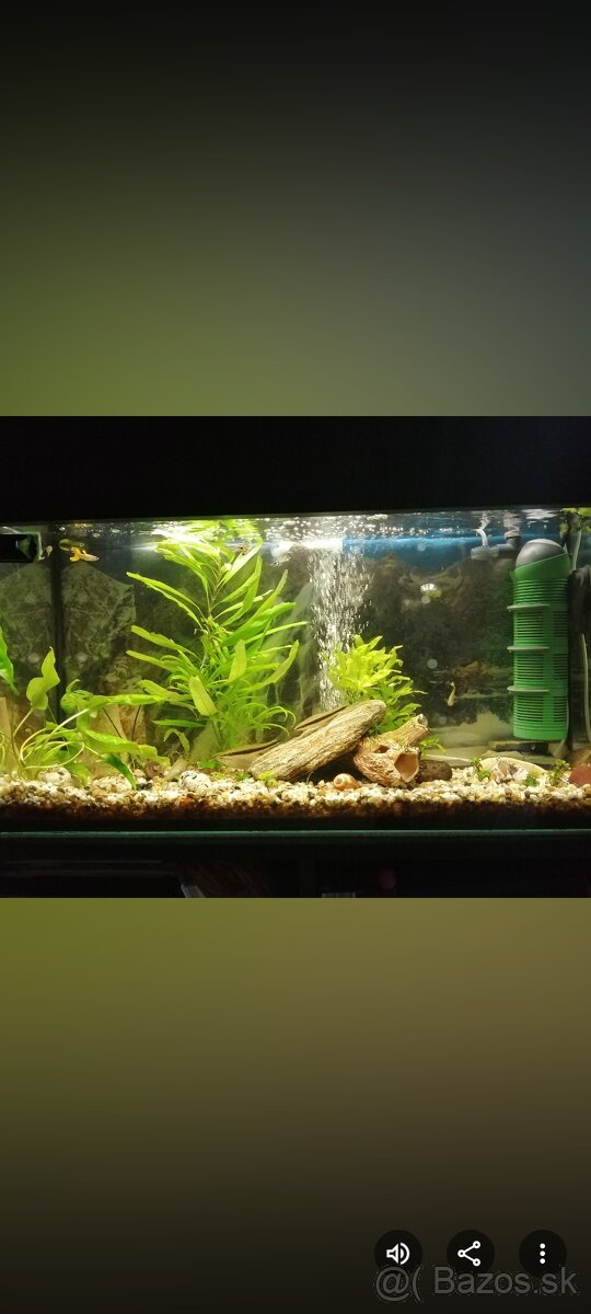 Predám akvarium - 4