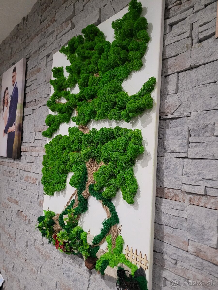 Machovy obraz na plátne - 4