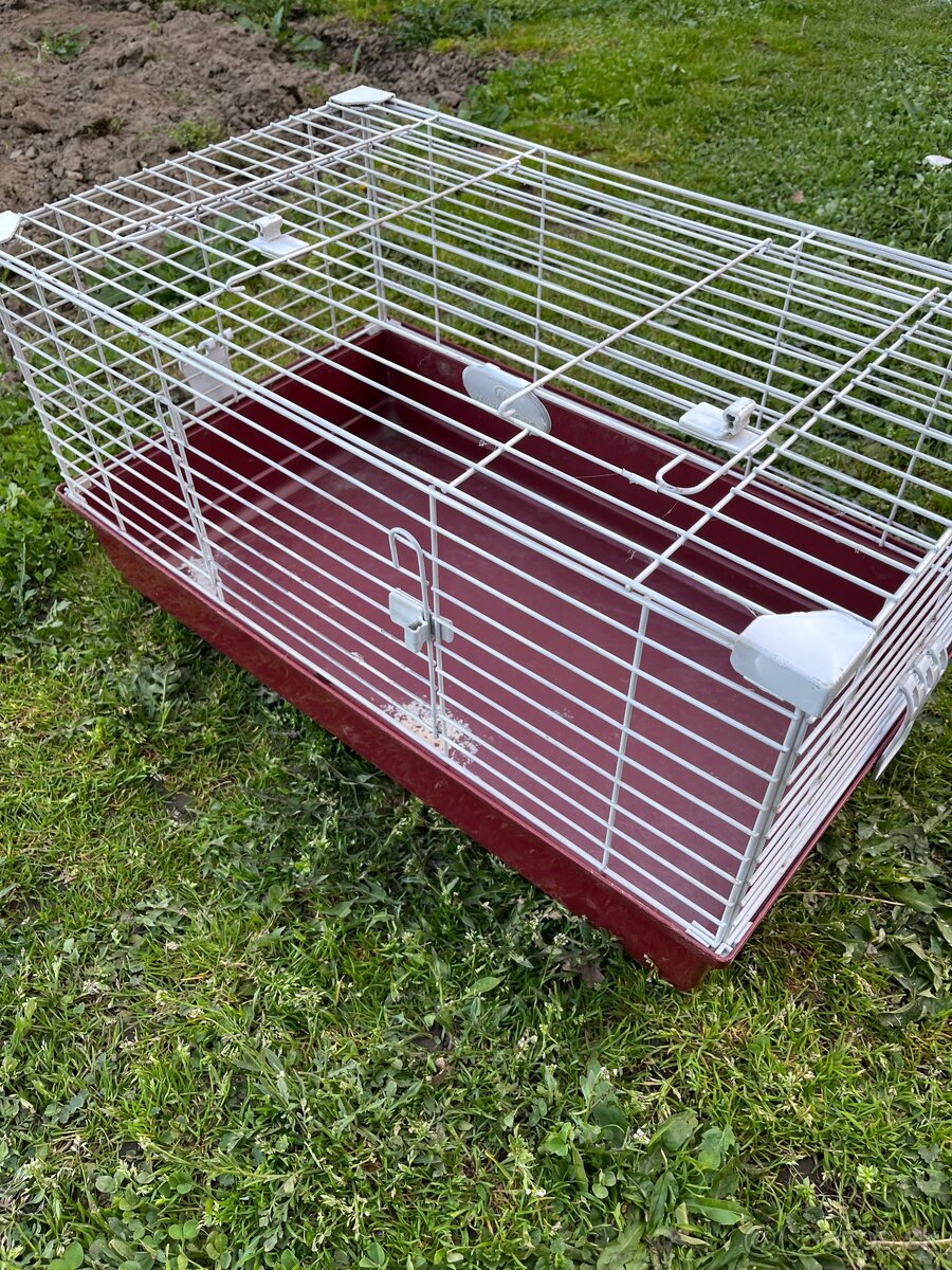 Predám klietku pre malého domáceho miláčika - 4